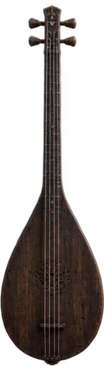 Threestring Lute